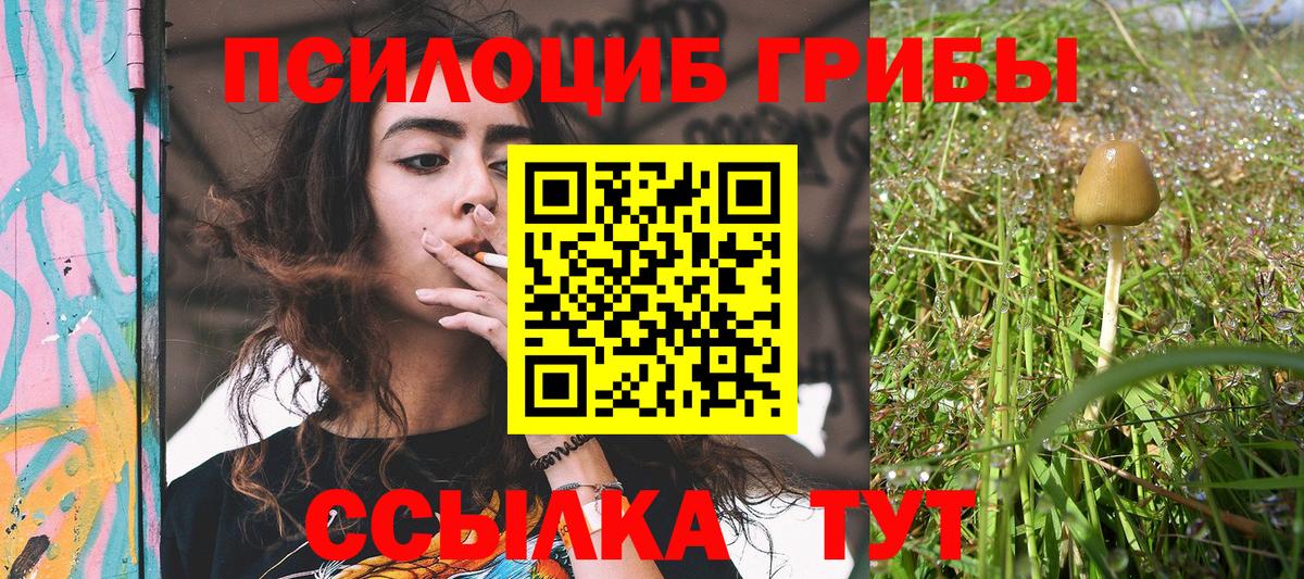 Галлюциногенные грибы Cubensis  Вход с VPN  Тобольск 