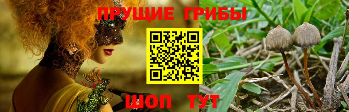 Псилоцибиновые грибы мухоморы Тобольск